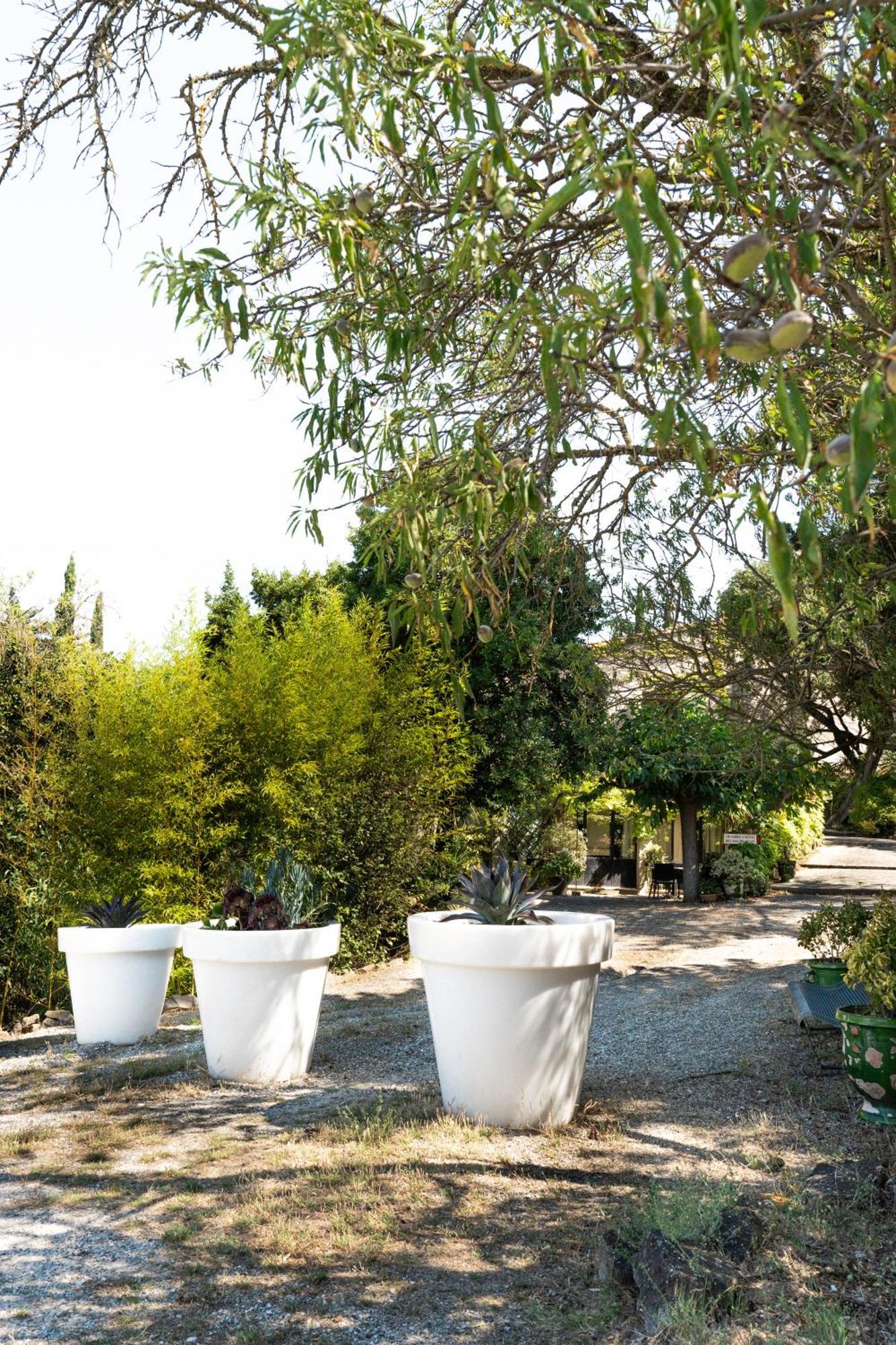 La Maison Sur La Colline Carcassonne Exteriér fotografie
