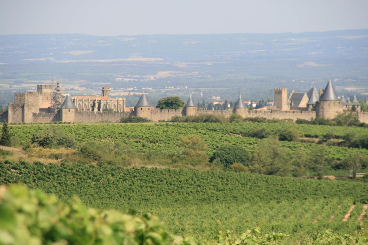 La Maison Sur La Colline Carcassonne Exteriér fotografie